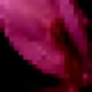 Découvre Amandine, 35 ans à Dol-de-Bretagne en t'inscrivant