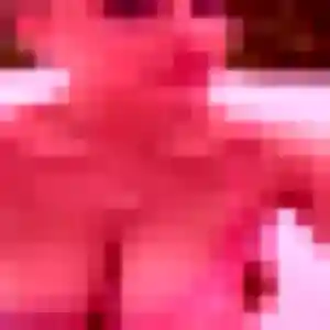 Photo sexy de Romane, 21 ans à Dormelles - rencontre sans lendemain