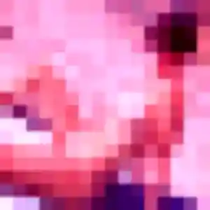 Photo sexy de Alice, 35 ans à Elnes - rencontre sans lendemain