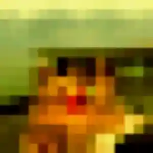 Photo perso de Elina, 34 ans à Elven - plan discret