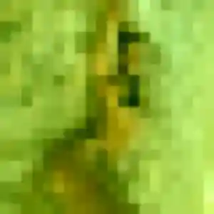 plan cul à Épaignes : profil de Constance, 31 ans - inscription gratuite