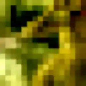 Armelle (20 ans) à Ercé-en-Lamée cherche un plan cul ce soir