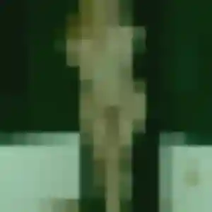 plan cul à Ercé-en-Lamée : profil de Elena, 20 ans - inscription gratuite