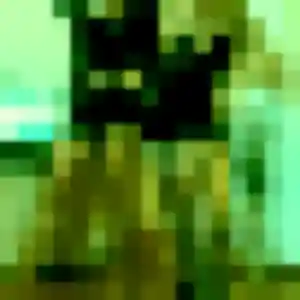 Profil de Alice à Ercé-près-Liffré (25 ans) - plan cul sans inscription