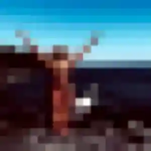 Doriane, femme de 19 ans veut plan cul à Ercé-près-Liffré