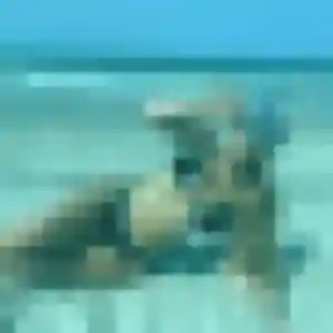 Photo de Soraya à Estancarbon (26 ans) - plan cul anonyme