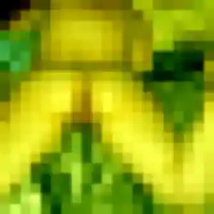 Nour, 29 ans, dispo pour plan cul à Évron