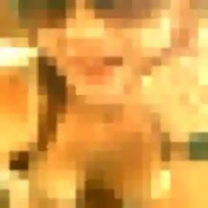 Belle Romane, 19 ans à Eygliers - voir sa photo