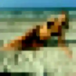 Roxane (28 ans) à Eymeux cherche une rencontre rapidement