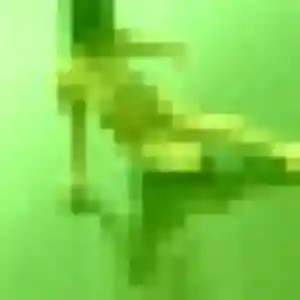 Photo privée de Lison, 33 ans à Farschviller - plan discret