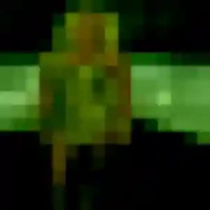 Photo exclusive de Selma, 25 ans à Flines-lès-Mortagne - rencontre sans lendemain