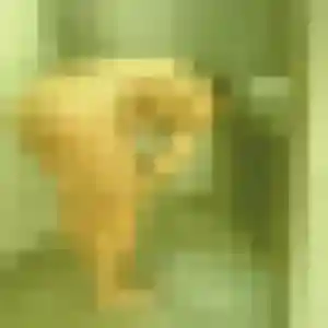 Photo de Apolline à Folgensbourg (25 ans) - plan cul gratuit