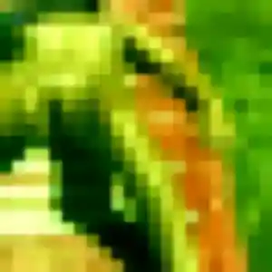 Profil de Sarah à Fontaine-la-Mallet (24 ans) - plan cul gratuit