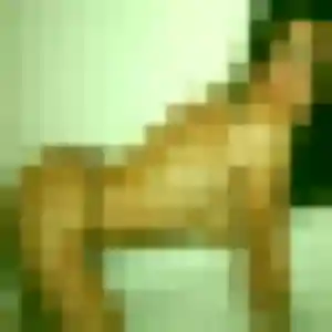 Profil de Elina à Fort-de-France (31 ans) - plan cul anonyme