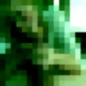 Rencontre Hana, 25 ans à Fougères en t'inscrivant