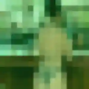Photo de Myla à Fournets-Luisans (31 ans) - plan cul gratuit