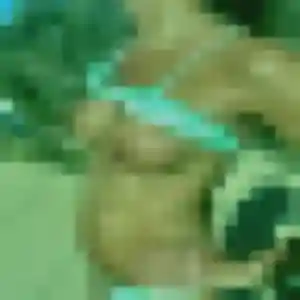 Sasha, 29 ans, disponible à Frontenas pour une rencontre coquine