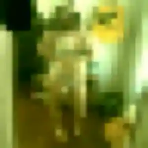 Cassandre, fille de 20 ans cherche plan cul à Gahard