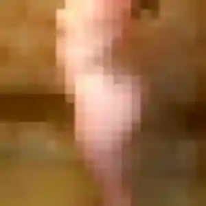 Roxane (26 ans) à Gaillard cherche un plan cul ce soir