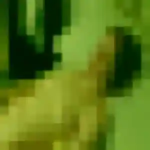 Contacte Alice, 27 ans à Gainneville en t'inscrivant