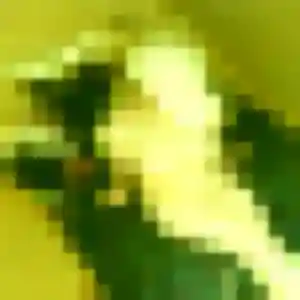 Maeva (33 ans) à Genay propose un plan cul ce soir