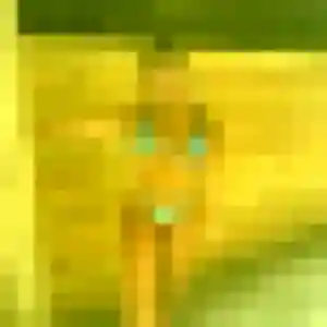 Profil de Alicia à Grâces (24 ans) - plan cul anonyme