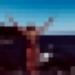 Feriel, fille de 30 ans veut plan cul à Grand-Fougeray