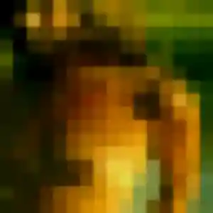 Contacte Coralie, 25 ans à Grenoble gratuitement