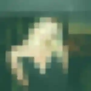 Photo perso de Elena, 30 ans à Guégon - plan discret