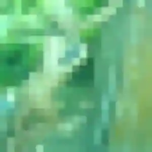 Photo de Hana à Guérande (34 ans) - plan cul sans inscription