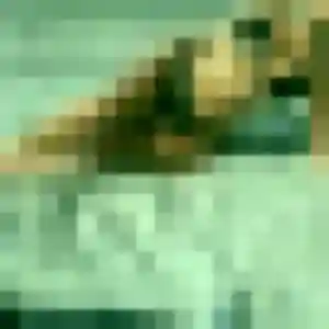 Découvre Roxane, 24 ans à Guern en t'inscrivant