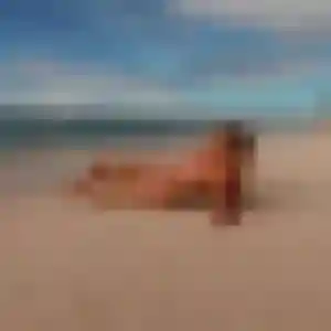 Eva, femme de 31 ans veut plan cul à Guilvinec