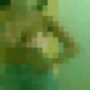 Photo perso de Morgane, 30 ans à Guimaëc - plan discret