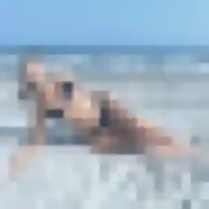 Profil de Charlotte à Guise (27 ans) - plan cul gratuit