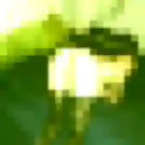 Photo de Lilou à Gunstett (25 ans) - plan cul gratuit