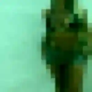 Anissa, femme de 25 ans veut plan cul à Habsheim