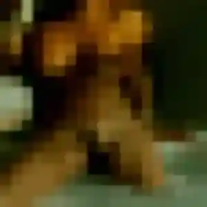 Giulia, 22 ans, disponible à Hallennes-lez-Haubourdin pour une rencontre coquine