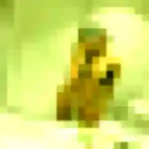 Profil de Daphne à Hauteville-sur-Mer (23 ans) - plan cul gratuit