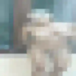 Charmante Sarah, 21 ans à Hauteville-sur-Mer - voir sa photo