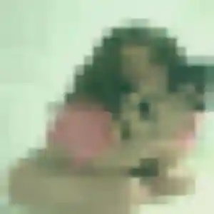 Noemie, fille de 24 ans cherche plan cul à Hénanbihen