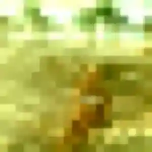 Violette, fille de 25 ans propose plan cul à Herbitzheim