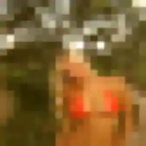 Lea, 30 ans, dispo pour plan cul à Heugleville-sur-Scie