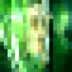 Sexy Celia, 31 ans à Hirel - découvrir son profil