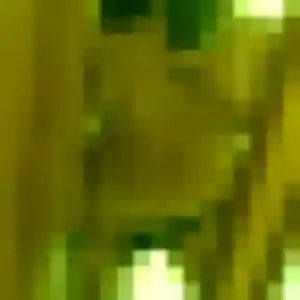 Clara (30 ans) à Hunspach cherche une rencontre ce soir