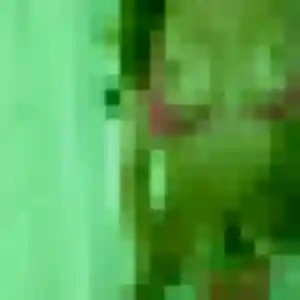 Belle Emma, 29 ans à Ingrandes-le-Fresne-sur-Loire - la contacter