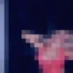 Photo de Noemie à Innenheim (30 ans) - plan cul gratuit
