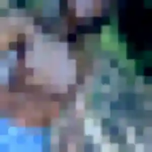 Profil de Sarah à Izeron (31 ans) - plan cul gratuit