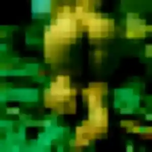 Contacte Marion, 21 ans à Juvigny en t'inscrivant