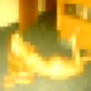 Giulia, 30 ans, cherche un plan cul à Kutzenhausen