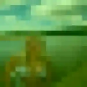 Rejoins Lilou, 24 ans à La Bazouge-du-Désert en t'inscrivant